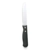 Walco 620527 Jumbo Steak Knife With Poly Handle - Dozen