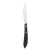 Walco 870527 Pointed Tip Steak Knife With Plastic Handle - Dozen