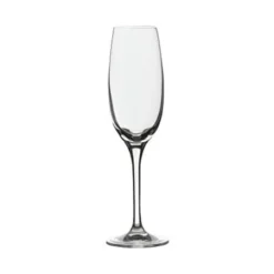Rona 4807R235 Edition 5 Oz Champagne Flute - 24 / CS
