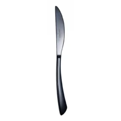 Chef & Sommelier FM304 Kya Black PVD Mirror 9.4" Dinner Knife - Dozen
