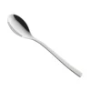 RAK Porcelain CFIDES Fine 7.6" Dessert Spoon - Dozen