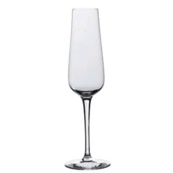 Rona 4813R284 Invitation 6 Oz Champagne Glass - 24 / CS