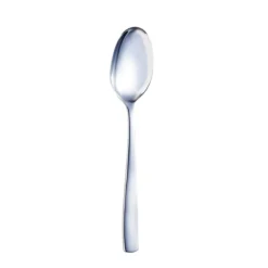 Arcoroc T1817 Vesca S/S 10-1/8" Serving Spoon - Dozen